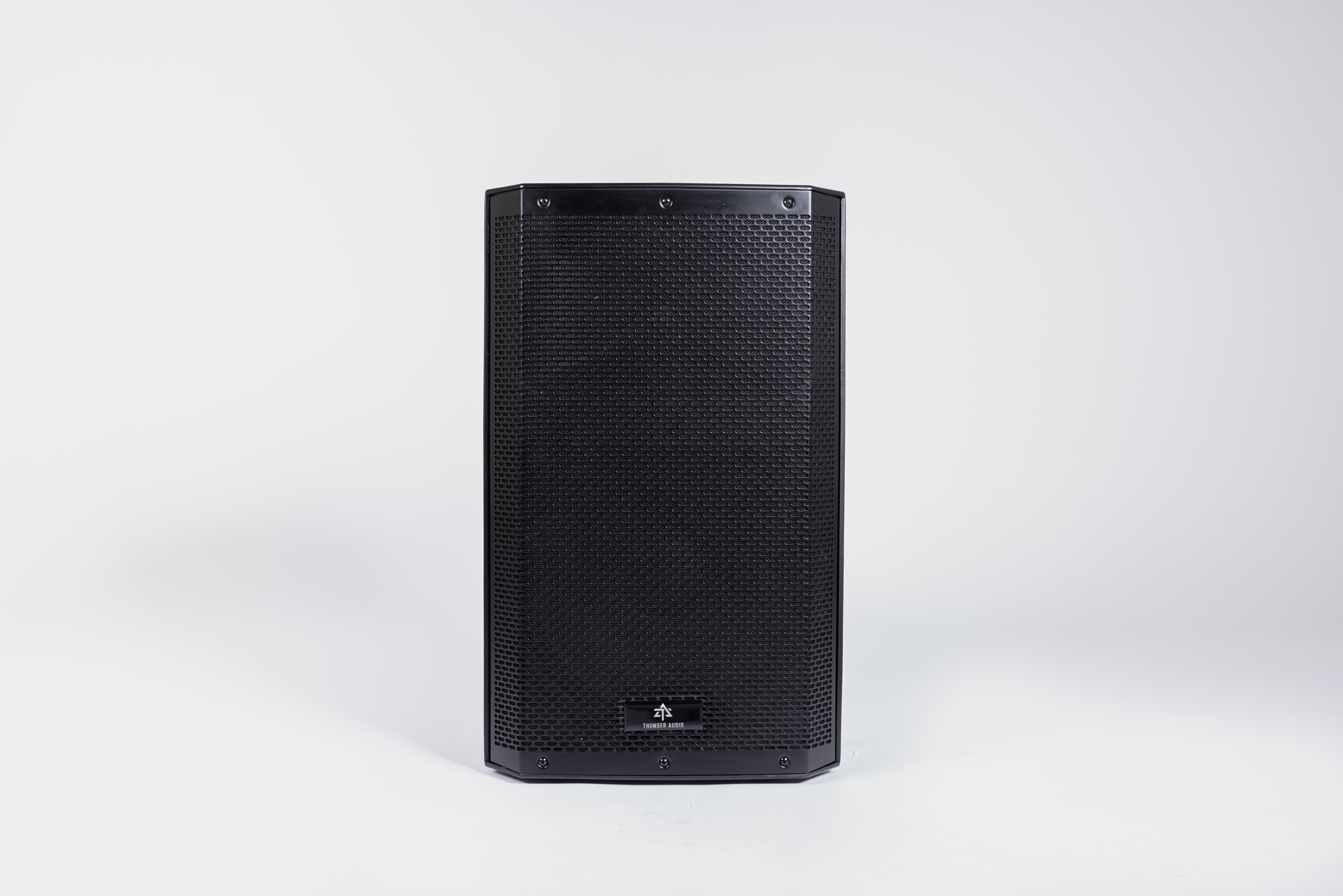 Thunder Audio X115A 15-inch Powered Speaker Front View